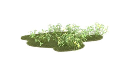 Field of grass isolated on white background. 3d rendering - illustration