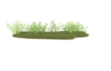 Field of grass isolated on white background. 3d rendering - illustration