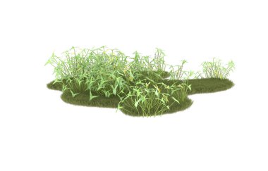 Field of grass isolated on white background. 3d rendering - illustration