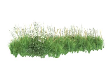 Field of grass isolated on white background. 3d rendering - illustration