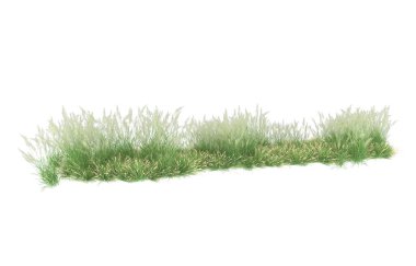 Field of grass isolated on white background. 3d rendering - illustration