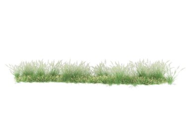 Field of grass isolated on white background. 3d rendering - illustration