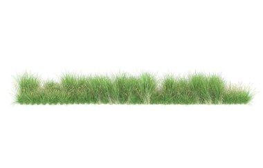 Field of grass isolated on white background. 3d rendering - illustration