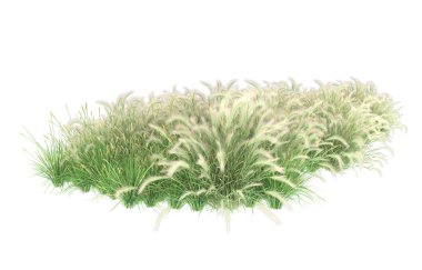 Field of grass isolated on white background. 3d rendering - illustration