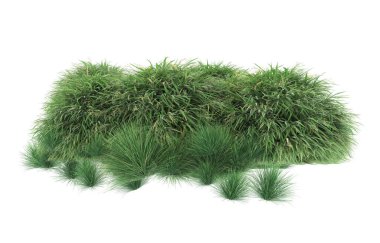 Field of grass isolated on white background. 3d rendering - illustration