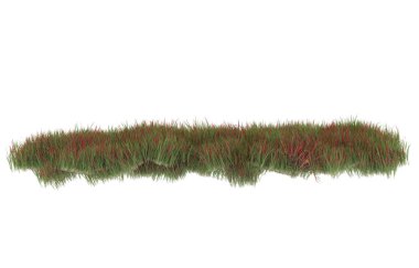 Field of grass isolated on white background. 3d rendering - illustration