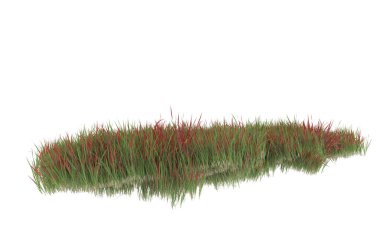 Field of grass isolated on white background. 3d rendering - illustration
