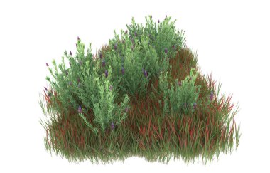 Field of grass isolated on white background. 3d rendering - illustration