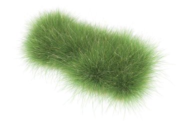Field of grass isolated on white background. 3d rendering - illustration
