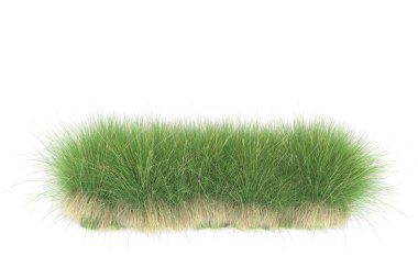 Field of grass isolated on white background. 3d rendering - illustration