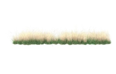Field of grass isolated on white background. 3d rendering - illustration