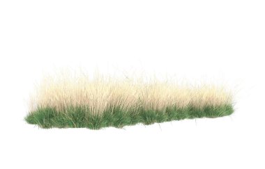 Field of grass isolated on white background. 3d rendering - illustration