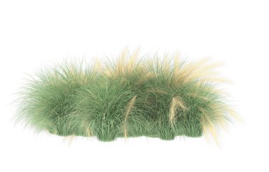 Field of grass isolated on white background. 3d rendering - illustration