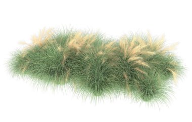 Field of grass isolated on white background. 3d rendering - illustration