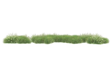 Field of grass isolated on white background. 3d rendering - illustration
