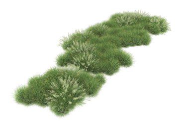 Field of grass isolated on white background. 3d rendering - illustration