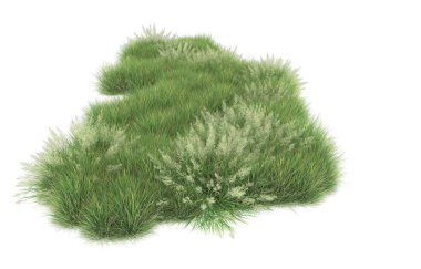 Field of grass isolated on white background. 3d rendering - illustration