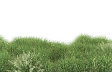 Field of grass isolated on white background. 3d rendering - illustration