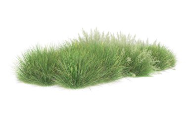Field of grass isolated on white background. 3d rendering - illustration