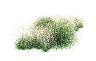 Field of grass isolated on white background. 3d rendering - illustration