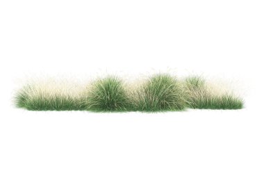 Field of grass isolated on white background. 3d rendering - illustration