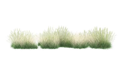 Field of grass isolated on white background. 3d rendering - illustration