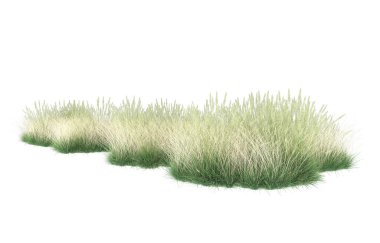 Field of grass isolated on white background. 3d rendering - illustration