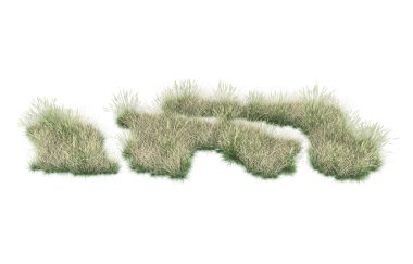 Field of grass isolated on white background. 3d rendering - illustration