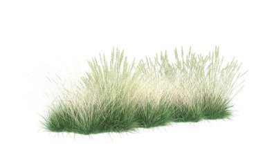 Field of grass isolated on white background. 3d rendering - illustration