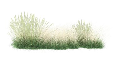 Field of grass isolated on white background. 3d rendering - illustration