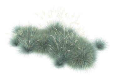 Field of grass isolated on white background. 3d rendering - illustration