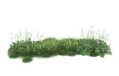 Field of grass isolated on white background. 3d rendering - illustration
