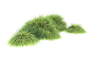 Field of grass isolated on white background. 3d rendering - illustration