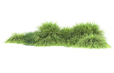 Field of grass isolated on white background. 3d rendering - illustration