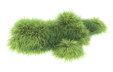 Field of grass isolated on white background. 3d rendering - illustration