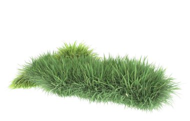 Field of grass isolated on white background. 3d rendering - illustration