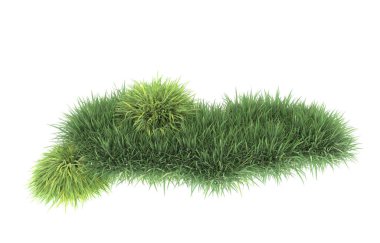Field of grass isolated on white background. 3d rendering - illustration