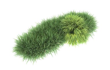 Field of grass isolated on white background. 3d rendering - illustration