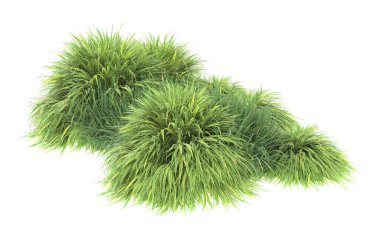 Field of grass isolated on white background. 3d rendering - illustration