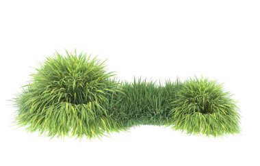 Field of grass isolated on white background. 3d rendering - illustration