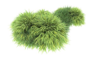 Field of grass isolated on white background. 3d rendering - illustration