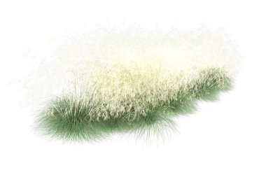 Field of grass isolated on white background. 3d rendering - illustration
