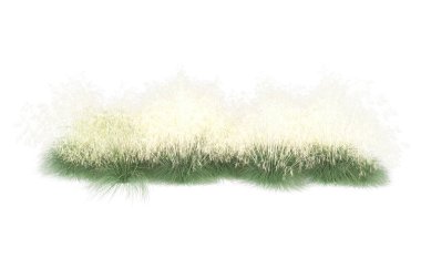 Field of grass isolated on white background. 3d rendering - illustration