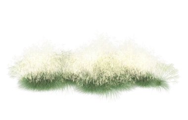 Field of grass isolated on white background. 3d rendering - illustration