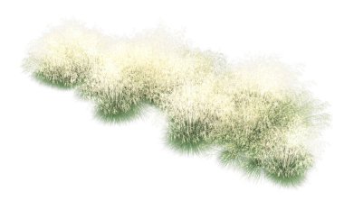 Field of grass isolated on white background. 3d rendering - illustration