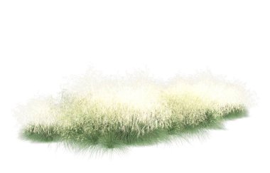 Field of grass isolated on white background. 3d rendering - illustration