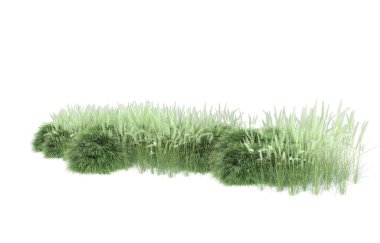 Field of grass isolated on white background. 3d rendering - illustration