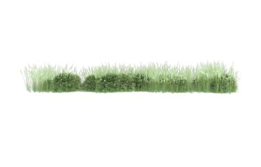 Field of grass isolated on white background. 3d rendering - illustration