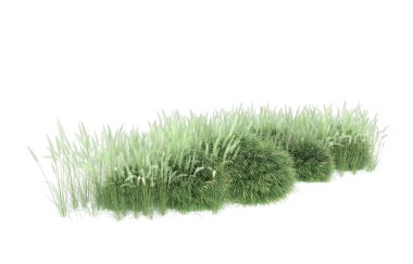 Field of grass isolated on white background. 3d rendering - illustration