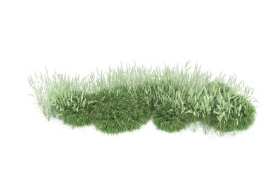 Field of grass isolated on white background. 3d rendering - illustration